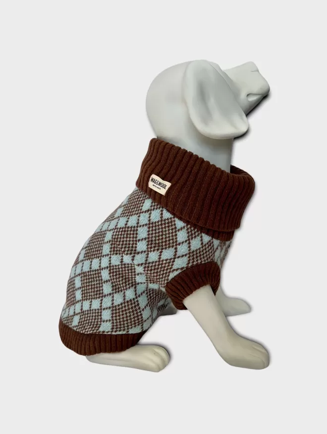 turquoise and brown dog jumper on a mannequin 