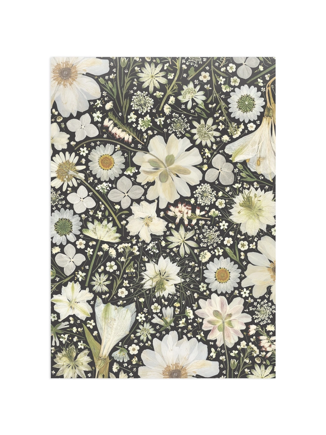 Wrapping paper sheet with a pressed flower design in Black and White.