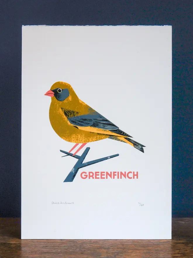 illustrated greenfinch print. illustrated greenfinch print propped up against navy wall background.