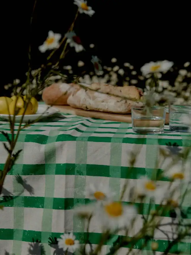 Upclose Green Gingham Tablecloth in field