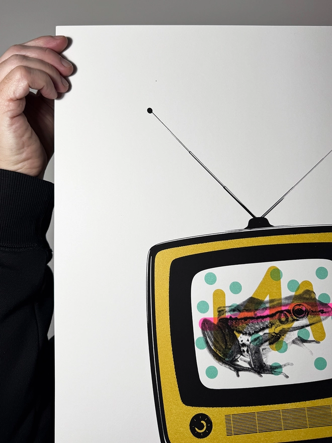 Froggy Vision_Screen Printed Large A2 Poster_Holly and Co_Close up top left