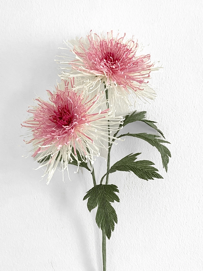 Crepe Paper Japanese Chrysanthemum DIY Kit