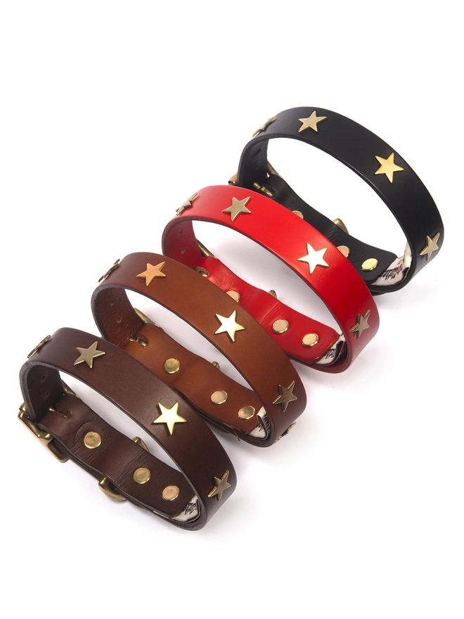 Hand Made Leather Dog Collars with Brass Star Studs By Creature Clothes