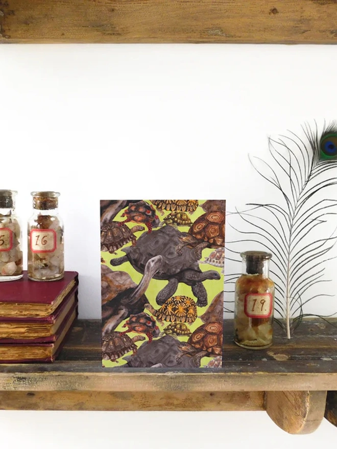 Creep Of Tortoises Print Greetings Card