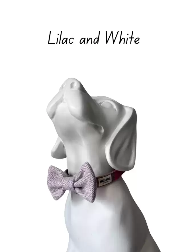 lilac and white dog bow tie 