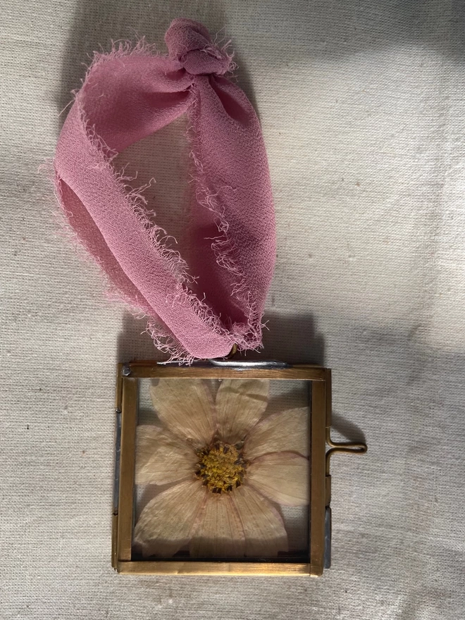 Square brass frame with ivory pressed cosmos flower and pink ribbon loop