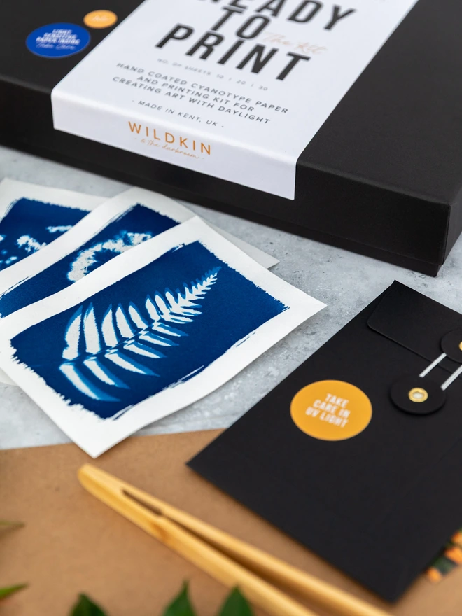 cyanotype print of a fern displayed on a concrete backdrop with the kit box and tools.