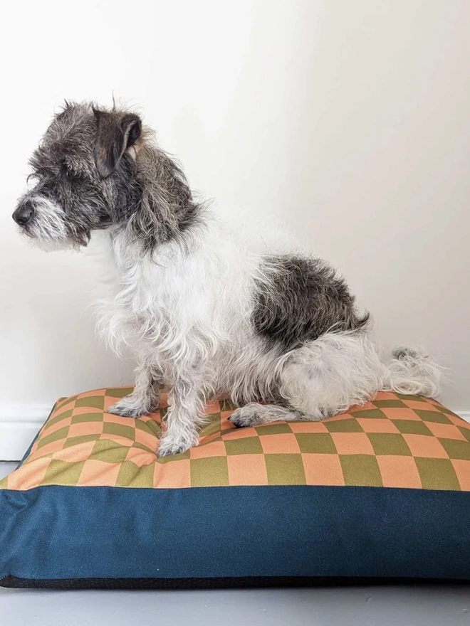  Printed Cotton Patterned Dog Bed, a dog sitting on a patterned dog bed on a tiled floor in front of a white wall. 