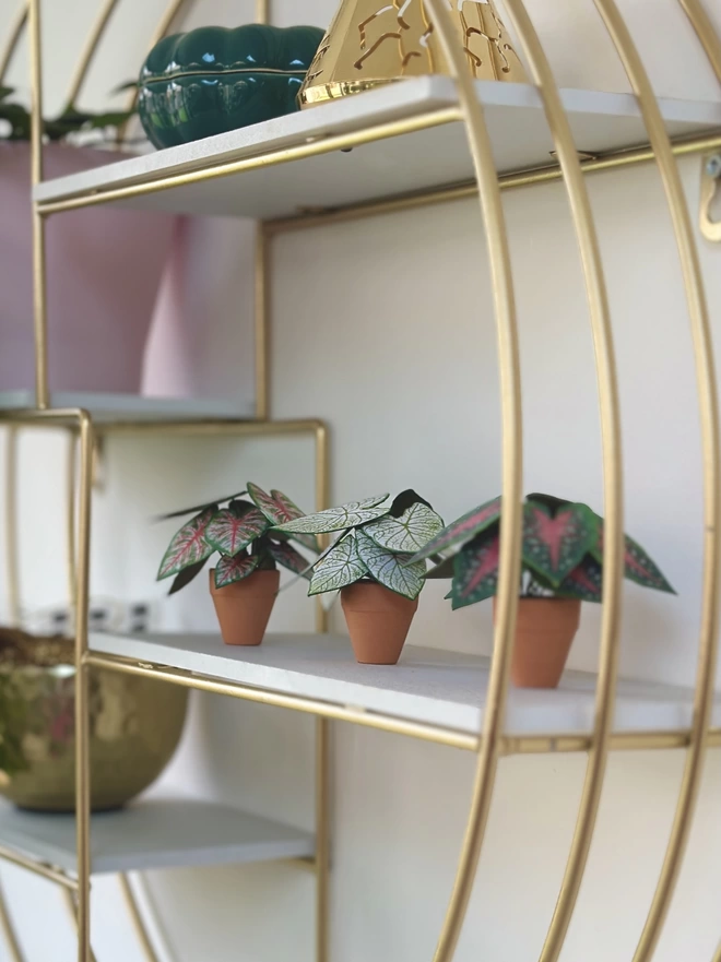 A miniature replica Caladium Angel Wings paper plant ornament in a terracotta pot with a different Caladium paper plant either side sat on a shelf of a gold circle shelving unit with other pink and gold ornaments in the background