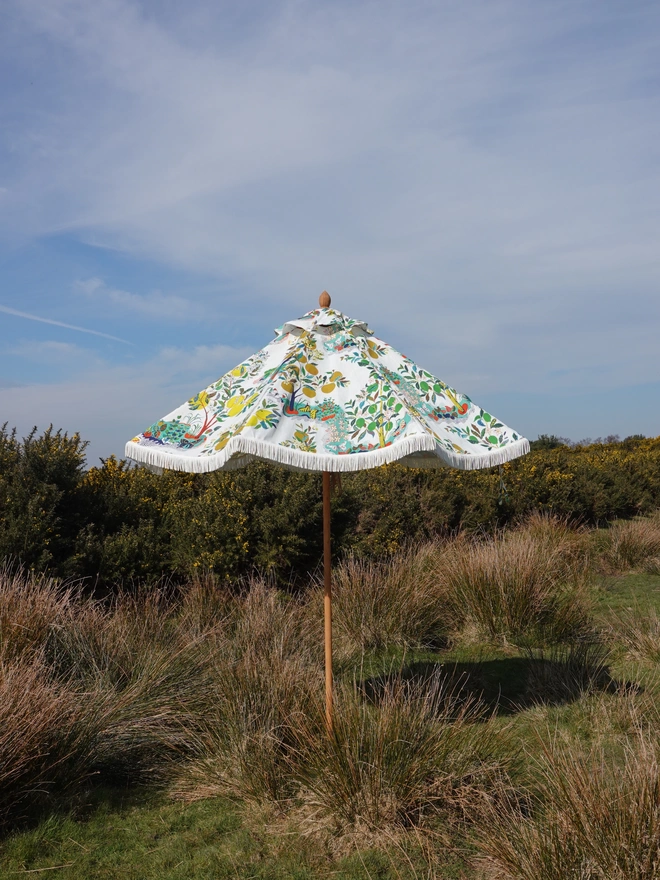 Josef Frank Citrus Garden Parasol. A parasol with a citrus pattern.