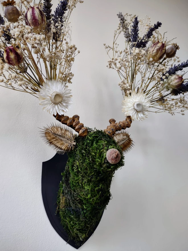 Cotswold Flora Botanical Stag Head Wall Mount Handmade Dried Flower Sustainable Art in The Cotswolds