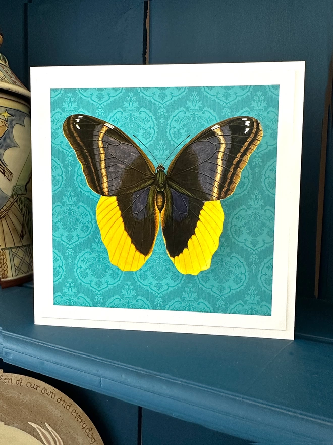Butterflygram on display