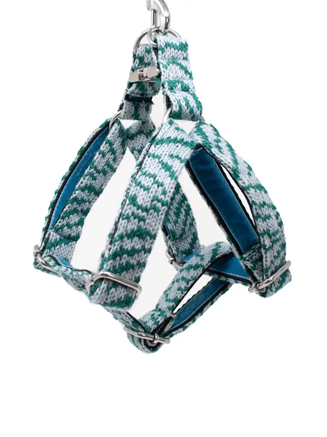 blue & green dog harness hanging on white background