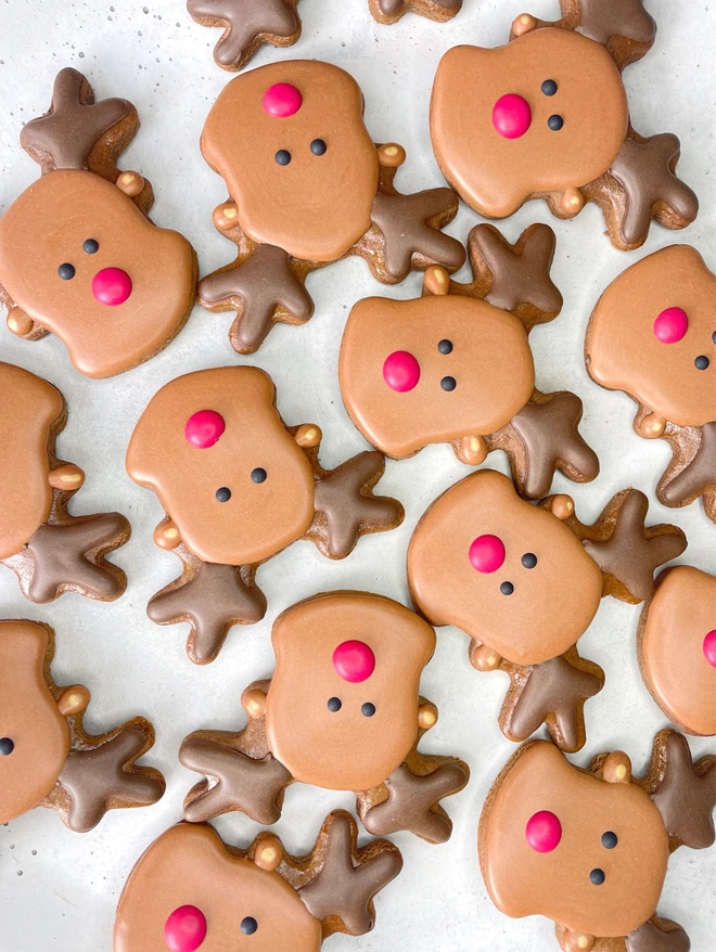 Hand-iced Christmas reindeer biscuit, individually wrapped in eco-friendly packaging, available in Vanilla or Gingerbread flavour