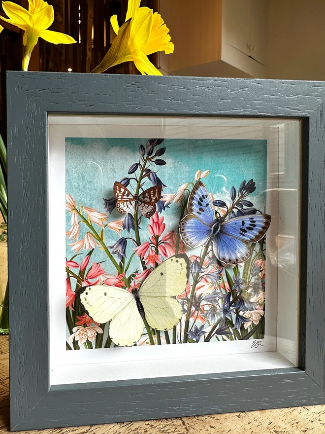 Close up of paper cut butterflies in dark grey box frame with bluebell floral print and three paper cut butterflies.