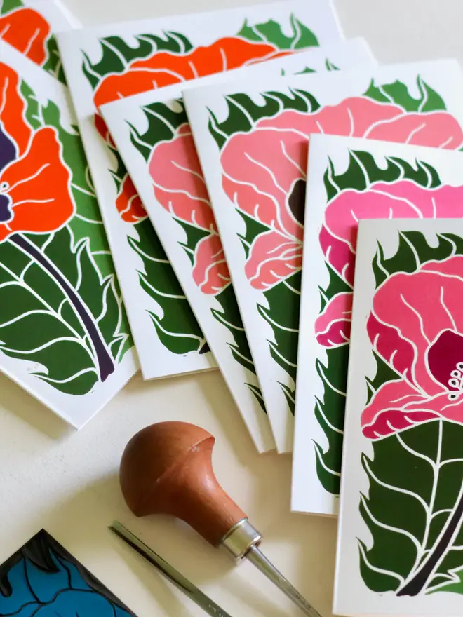 pink wild poppy notecard set