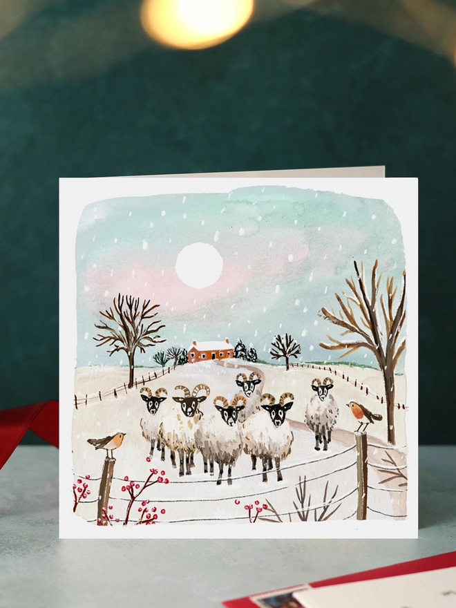Sheep and Robins Blank Christmas Card