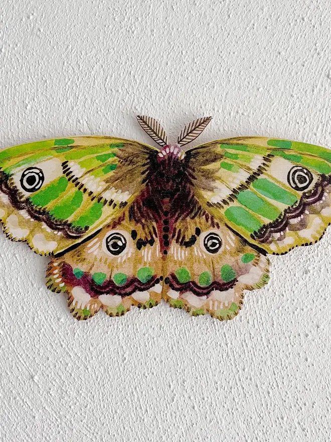 wooden emperor moth wall decoration. green wooden moth hung on plain white wall.