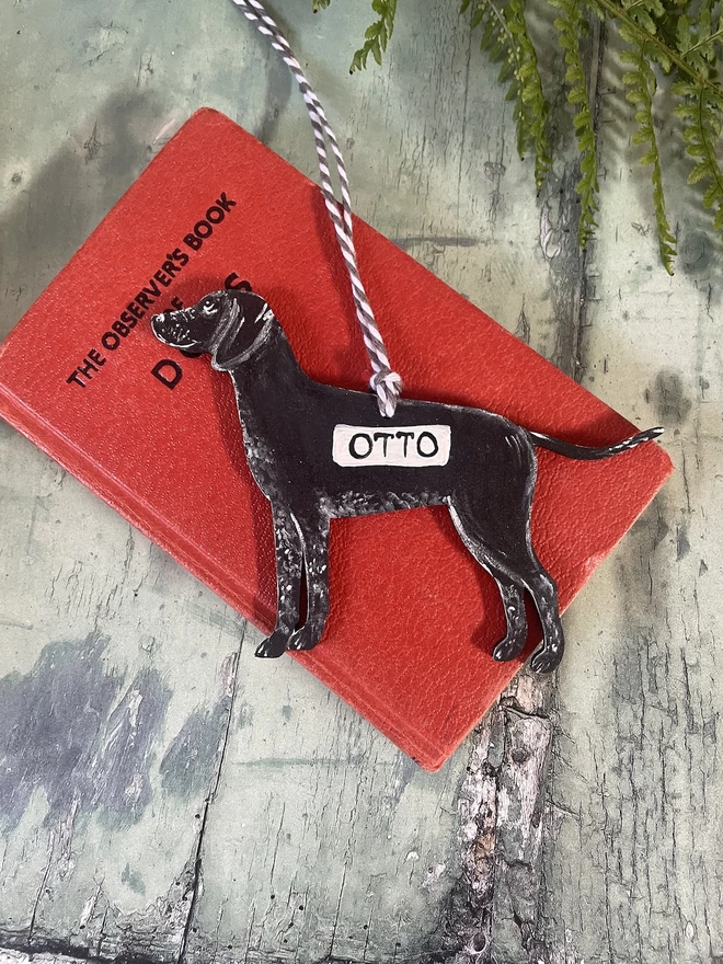 German Shorthaired Pointer Memory Decoration in black placed on a red book about dogs