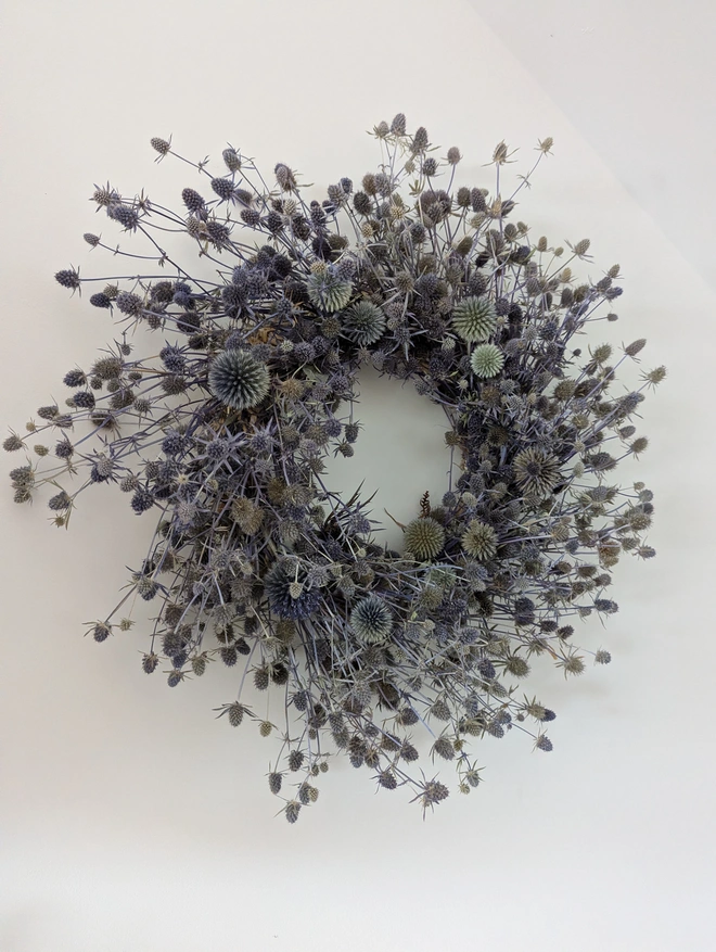 eryngium wreath