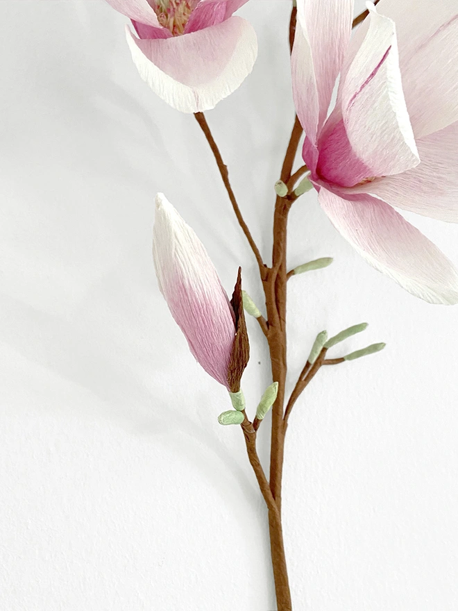 Crepe Paper Magnolia DIY Kit