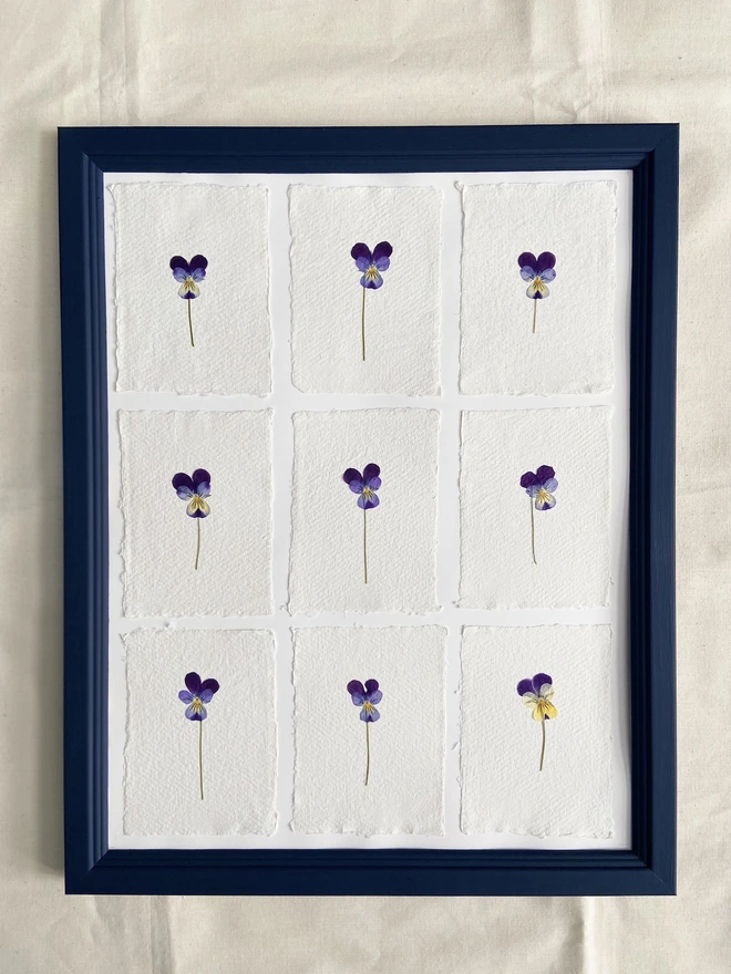 Framed blue and purple pansies in navy blue painted frame