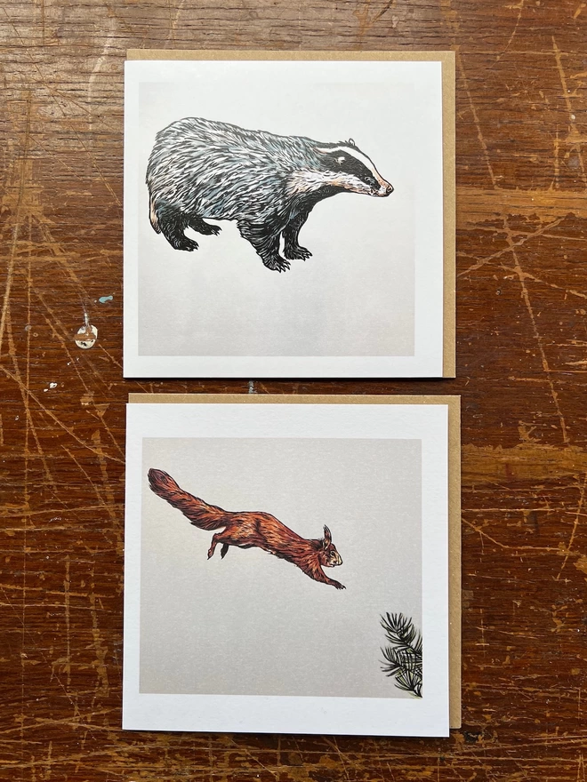 badger card and red squirrel card