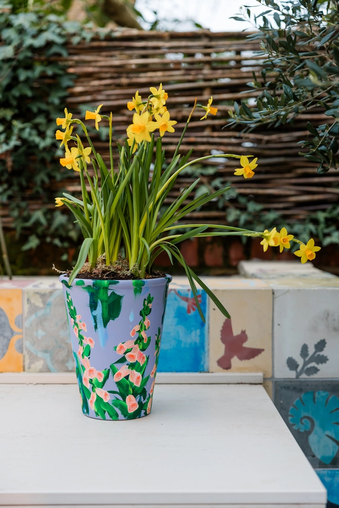 Unique hand-painted terracotta pot featuring apricot foxgloves on a lilic background