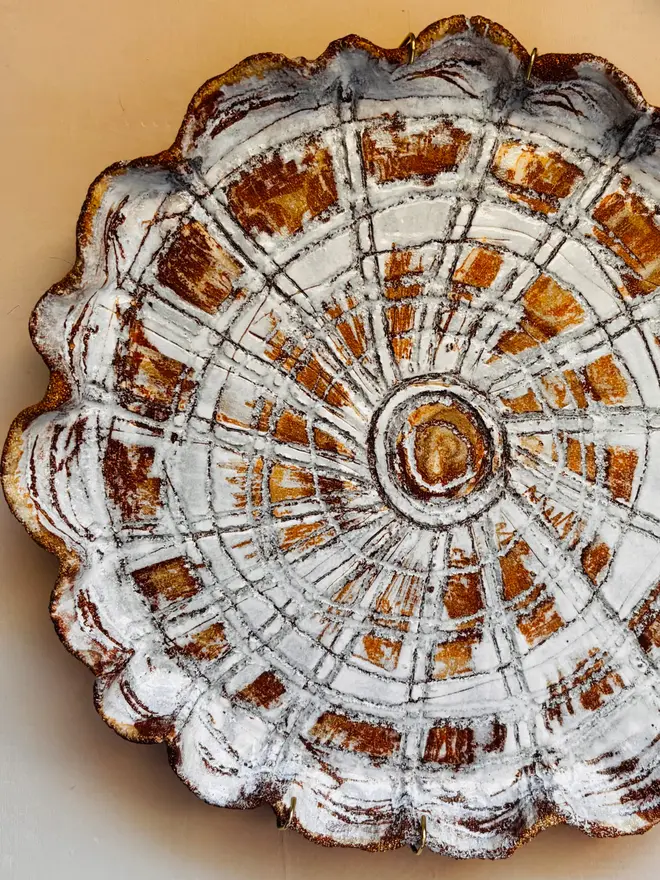 6. Limpet Shell Wall Plate