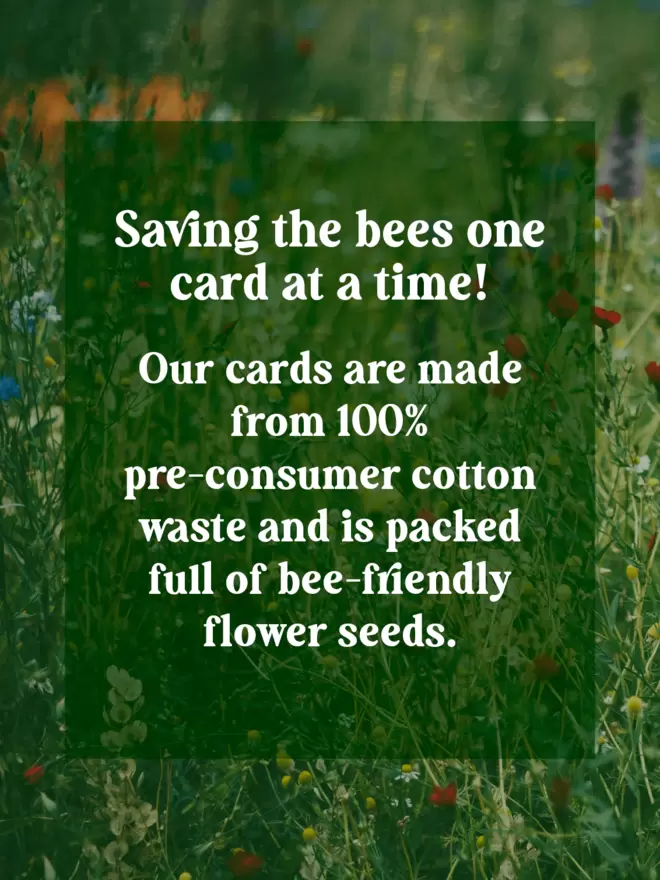 ‘Saving the Bees one card at a time’ Information on a green tinted wildflower image background