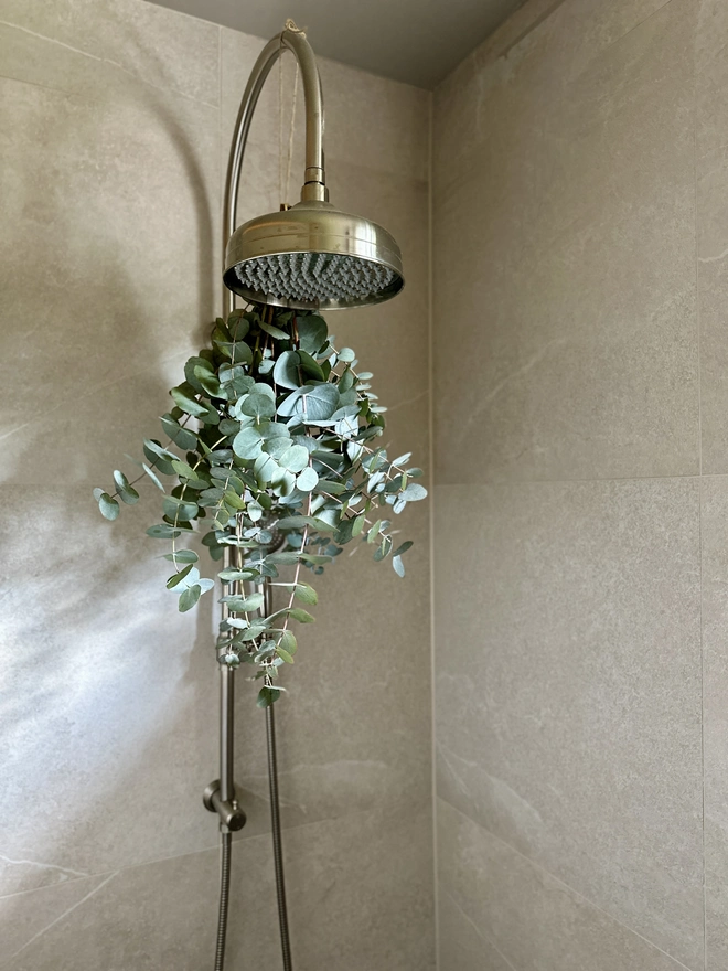 Eucalyptus hanging up in the shower