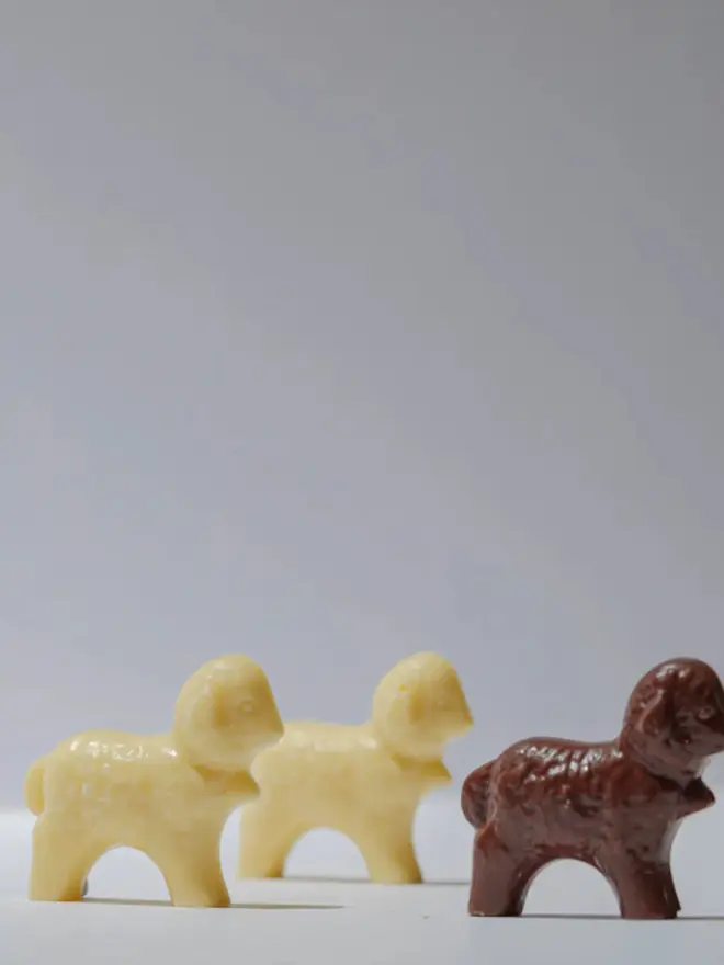 Three small solid chocolate Easter lambs in white and milk chocolate, displayed in a row on a plain white background.