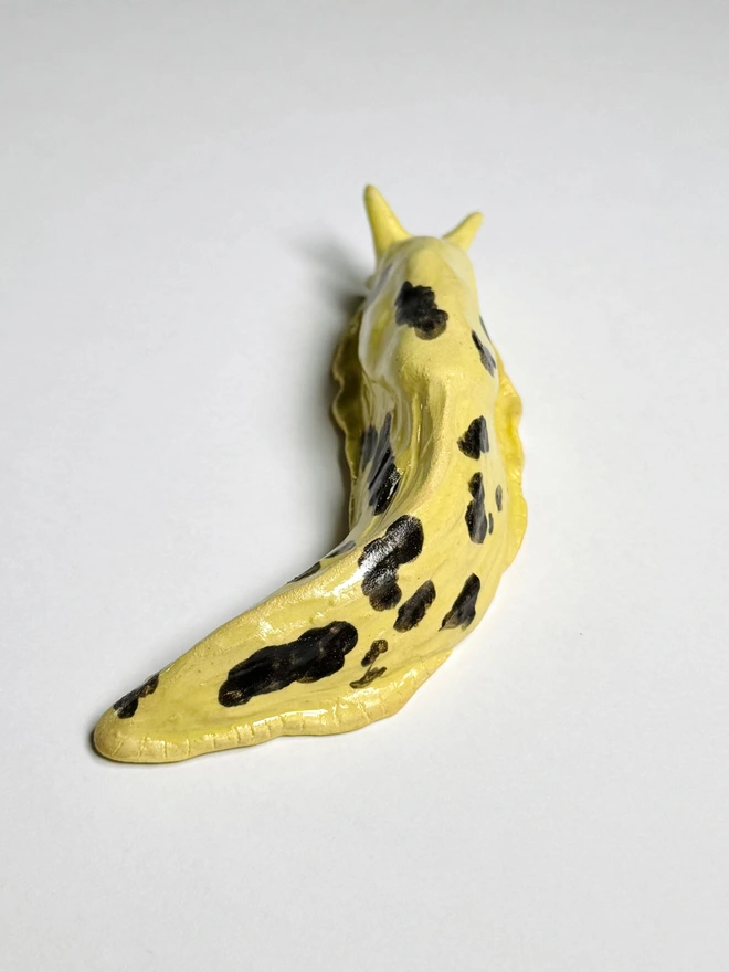 Banana Slug III