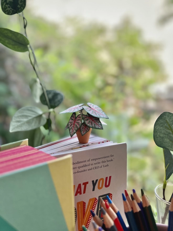 A miniature replica Caladium Rosebud paper plant ornament in a terracotta pot sat on top of a book with some colouring pencils in the foreground and real plants in the background