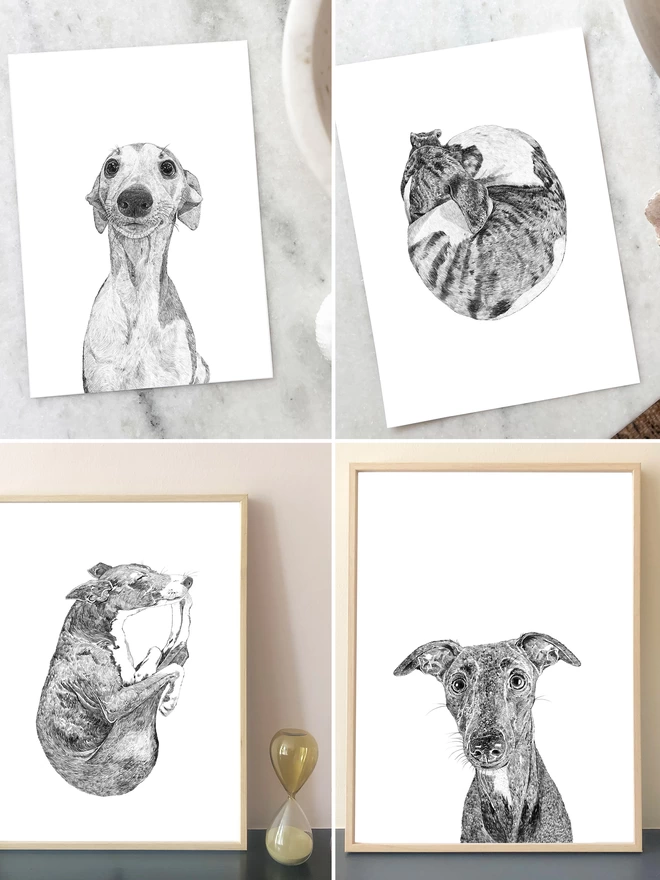 Selection of our bestselling whippet art prints