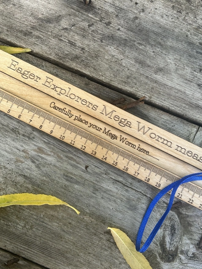 A personalised birch plywood worm‑measuring board lying flat on a natural outdoor surface. The tool features a long engraved ruler scale up to 26cm and a central slot for safely placing a worm during measurement. The wood has a smooth, light oil finish with rounded edges, designed for young learners and forest school activities. No worms are shown; only the wooden measuring board with its  carrying cord is visible.