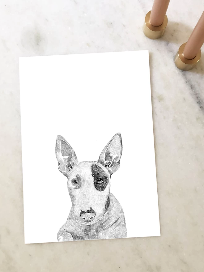 Art print of a hand drawn portrait of a bull terrier dog laying on a table