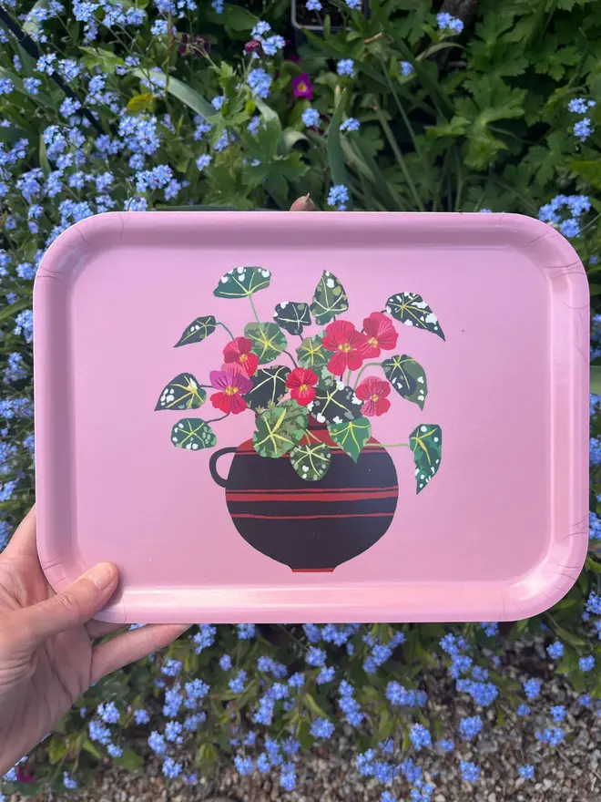 illustrated begonia small tray