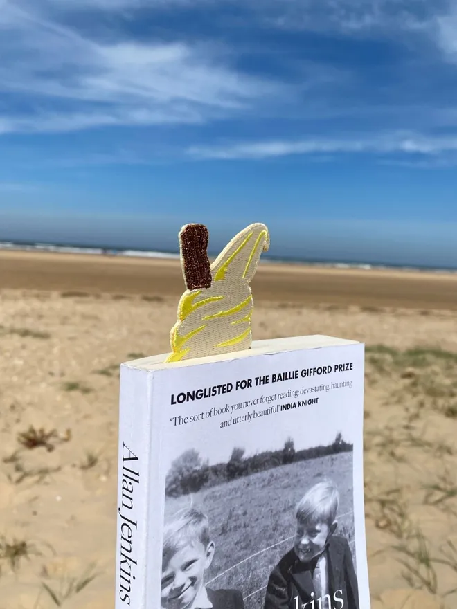 Ice cream embroidered bookmark in book at the beach