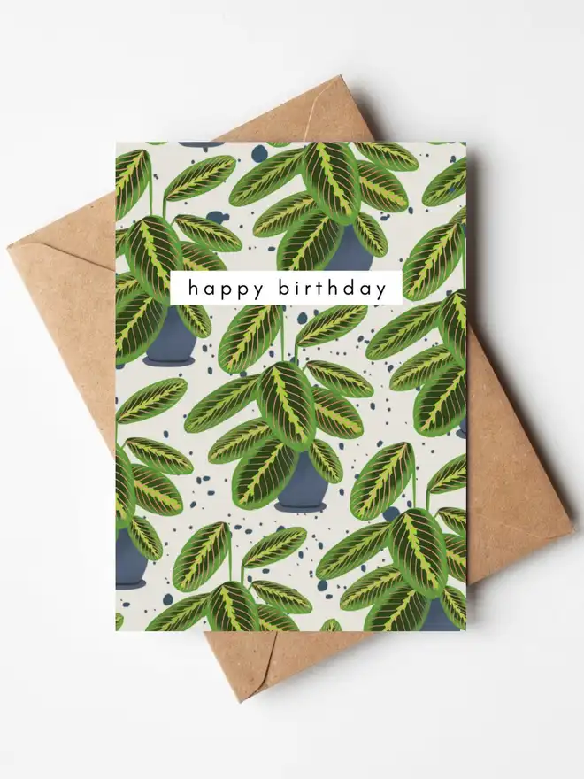 A birthday card featuring hand-illustrated prayer plants in blue pots on a soft speckled background, with the words "happy birthday" across the centre. The card is displayed with a kraft envelope.