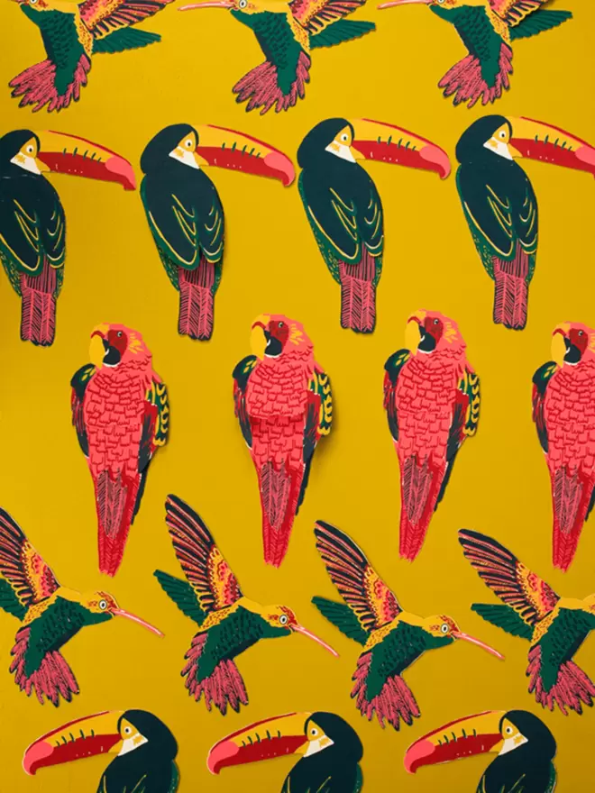 Group photo of colourful tropical birds on yellow background