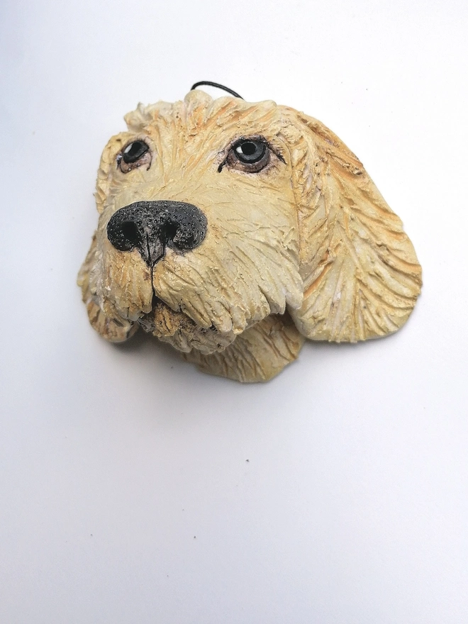 Golden Spaniel Dog Head With Brown Eyes