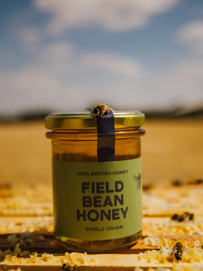 Field Bean Honey on frames in hive