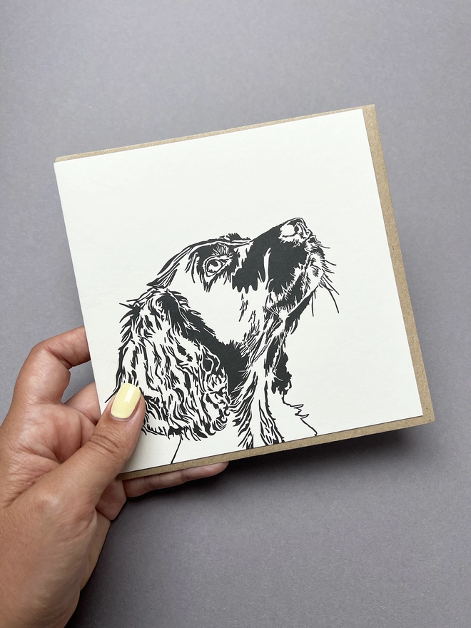 This gorgeous letterpress greetings card has a side profile of a Springer Spaniel's face.