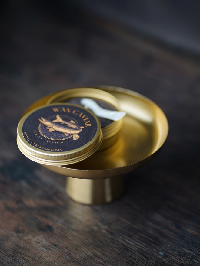 Caviar Candle