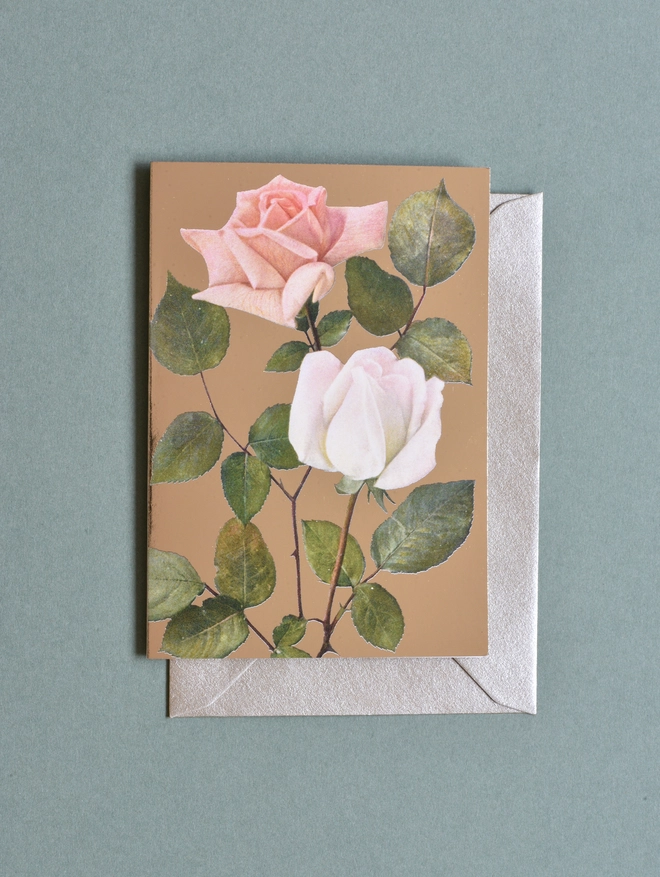 peach roses card