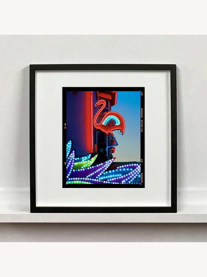 Neon Flamingo Richard Heeps colour print mounted square framed in black