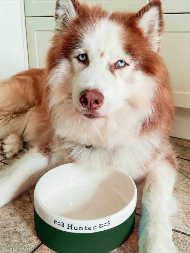 Large Handmade Dog Bowl