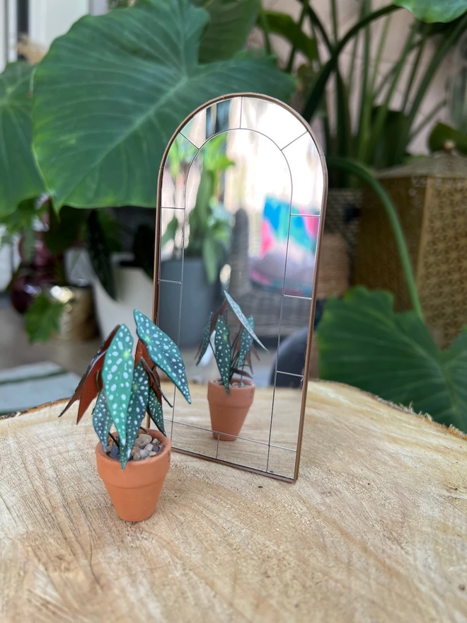 A miniature replica Begonia Maculata polka dot paper plant ornament in a terracotta pot sat on a wooden log in front of a tiny mirror showing its reflection with real plants in the background