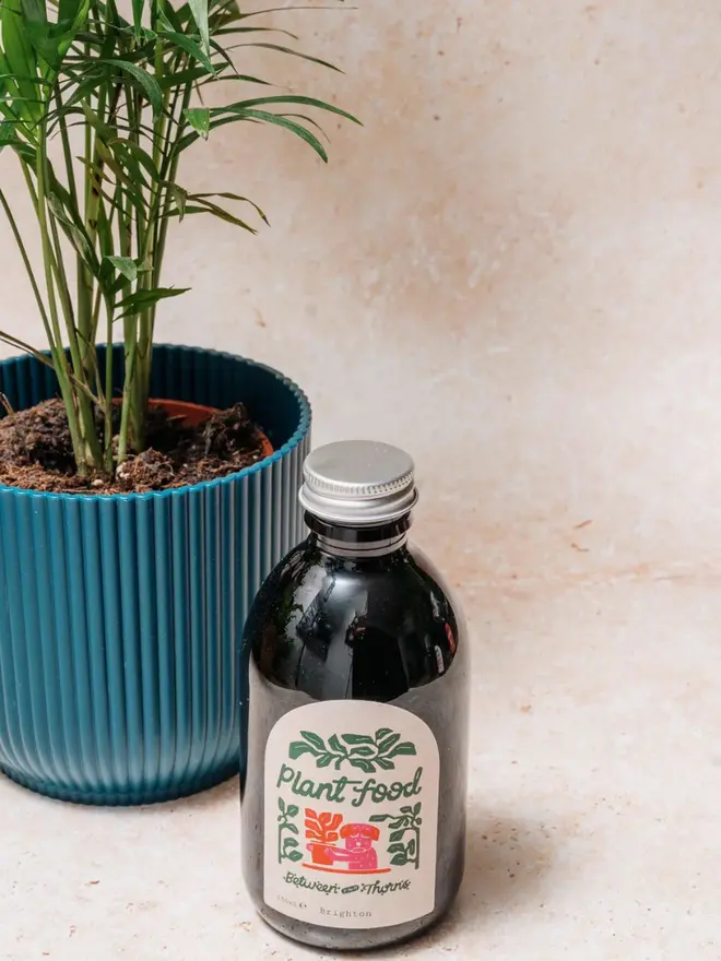 Seaweed Feed, next to a plant. 